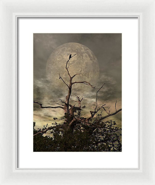 Framed Print - The Crow Tree