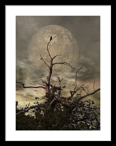 Framed Print - The Crow Tree