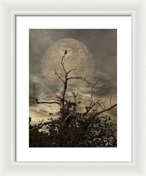 Framed Print - The Crow Tree