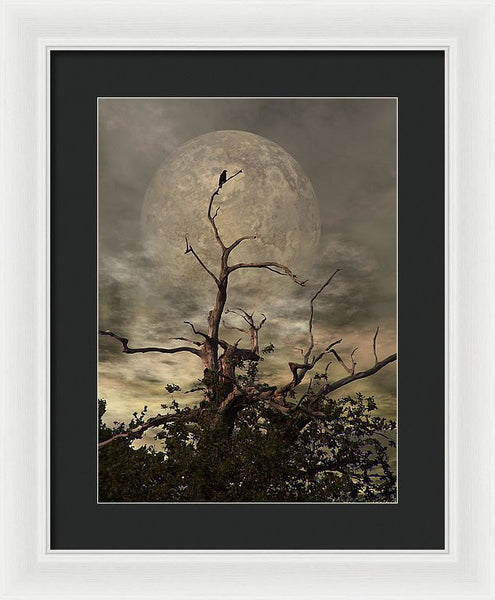 Framed Print - The Crow Tree