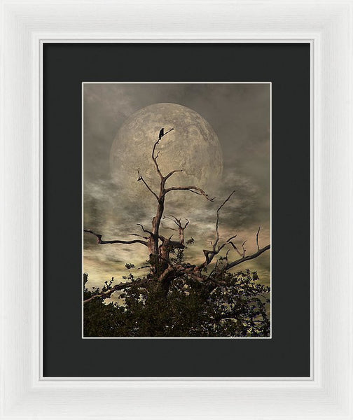 Framed Print - The Crow Tree