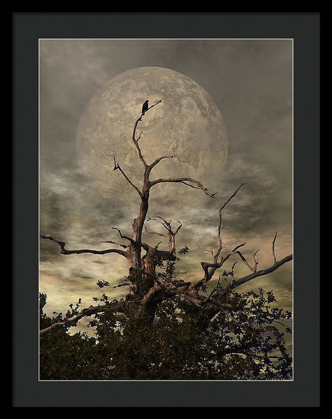 Framed Print - The Crow Tree
