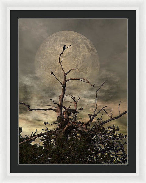 Framed Print - The Crow Tree