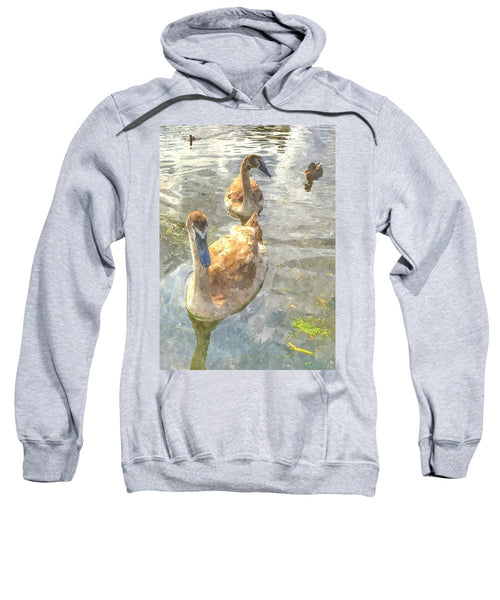 The Two Cygnets - Sweatshirt