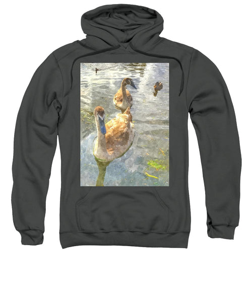 The Two Cygnets - Sweatshirt