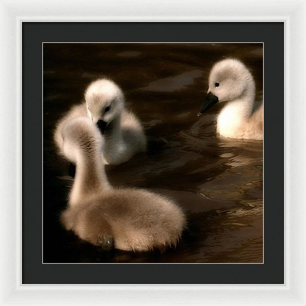 They Called You An Ugly What - Framed Print