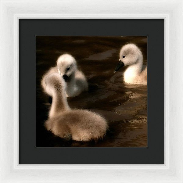 They Called You An Ugly What - Framed Print