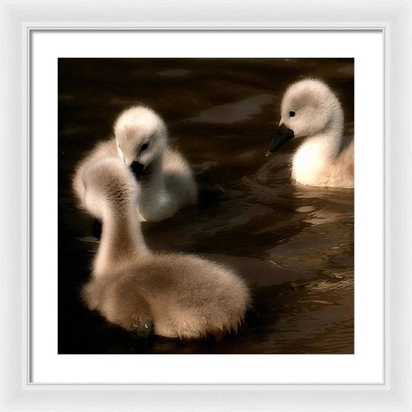 They Called You An Ugly What - Framed Print