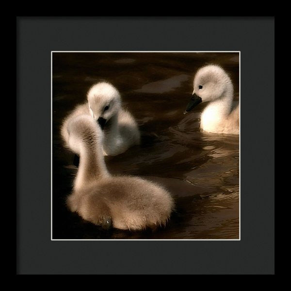 They Called You An Ugly What - Framed Print