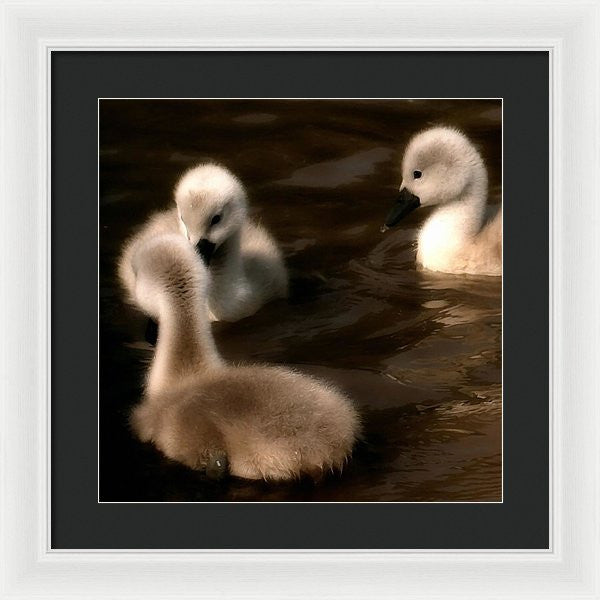 They Called You An Ugly What - Framed Print