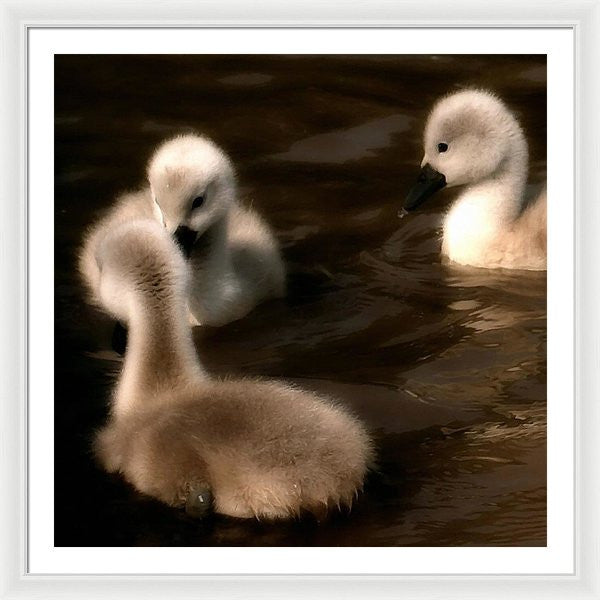 They Called You An Ugly What - Framed Print