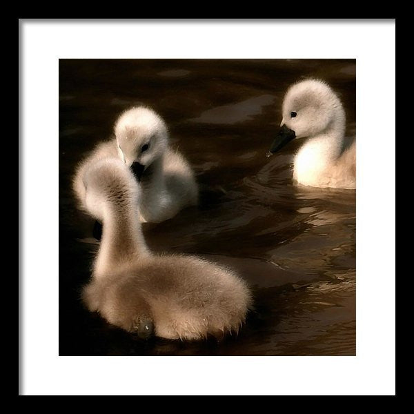 They Called You An Ugly What - Framed Print