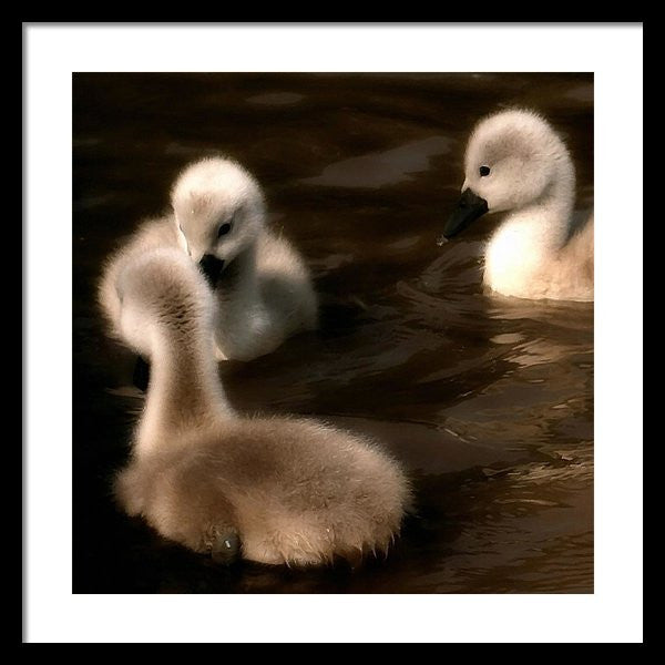 They Called You An Ugly What - Framed Print