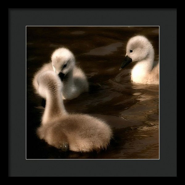 They Called You An Ugly What - Framed Print