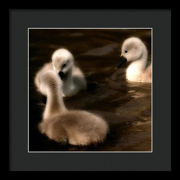They Called You An Ugly What - Framed Print