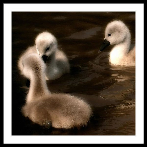 They Called You An Ugly What - Framed Print
