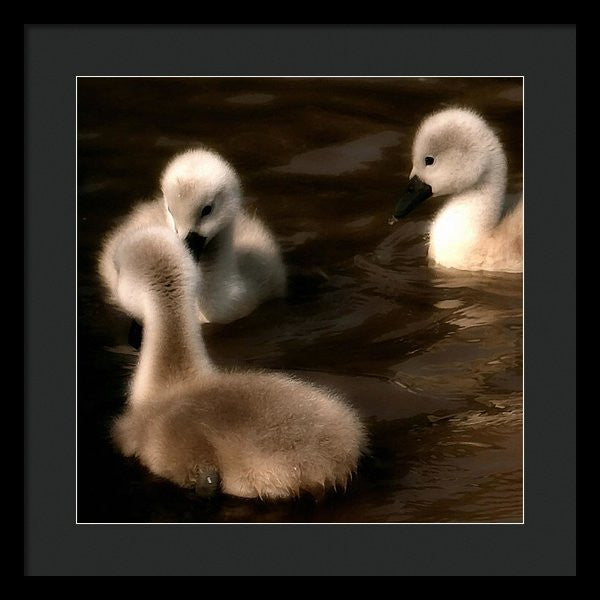 They Called You An Ugly What - Framed Print