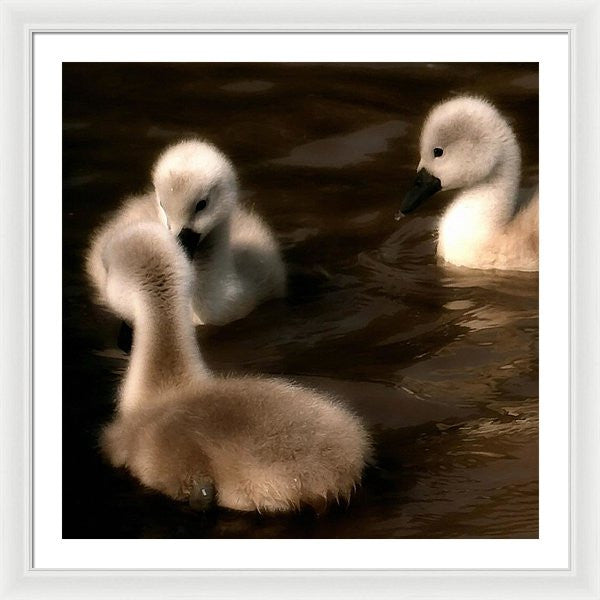 They Called You An Ugly What - Framed Print