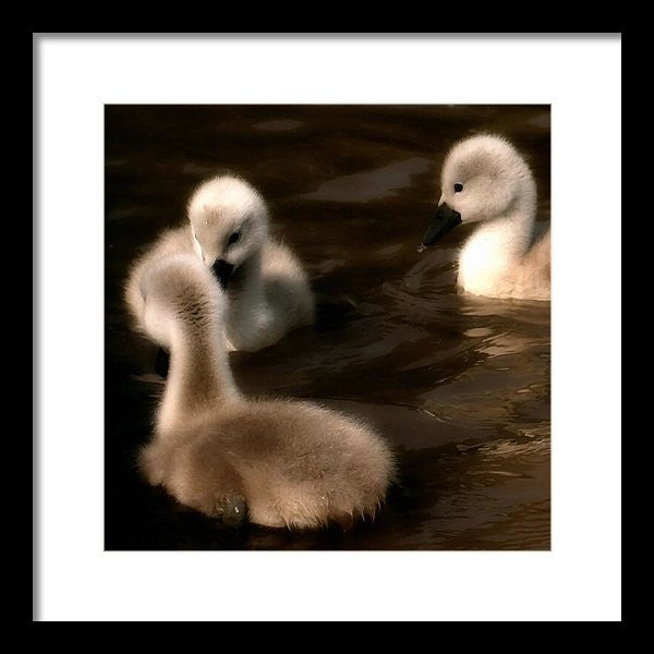 They Called You An Ugly What - Framed Print
