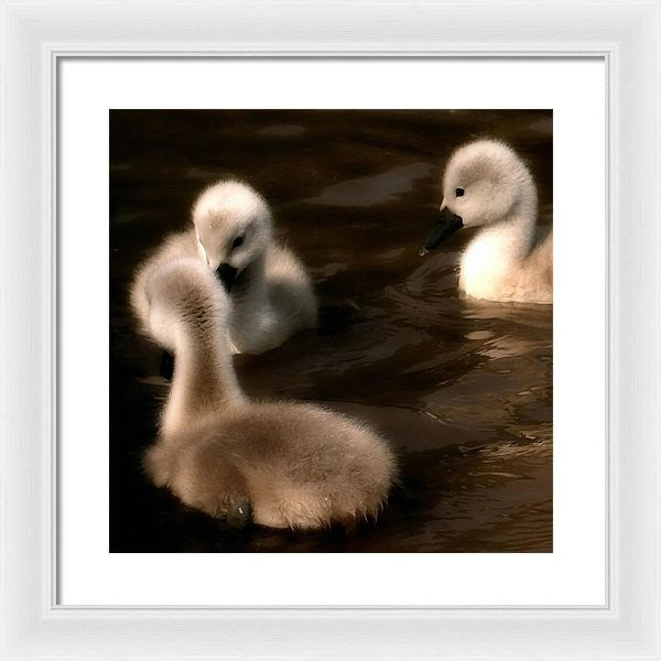 They Called You An Ugly What - Framed Print