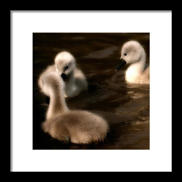 They Called You An Ugly What - Framed Print