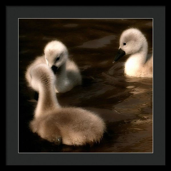 They Called You An Ugly What - Framed Print