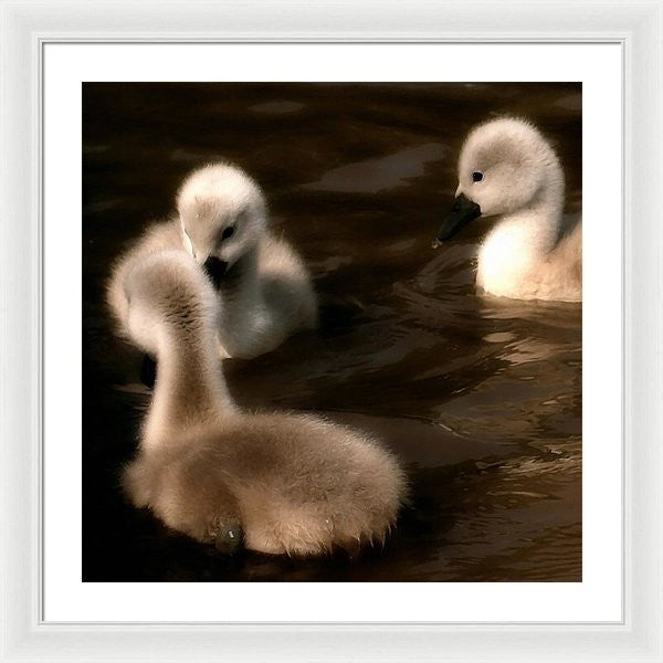 They Called You An Ugly What - Framed Print
