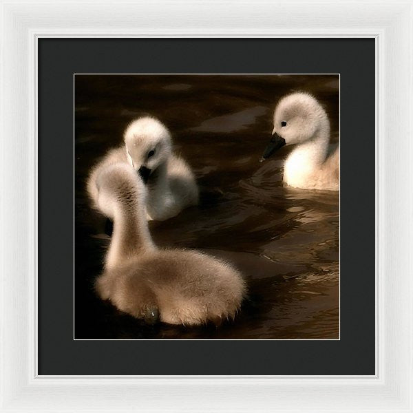 They Called You An Ugly What - Framed Print