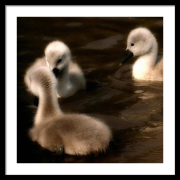 They Called You An Ugly What - Framed Print