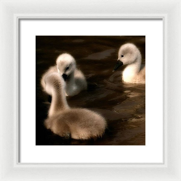 They Called You An Ugly What - Framed Print