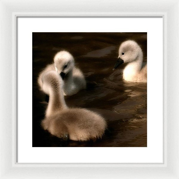 They Called You An Ugly What - Framed Print