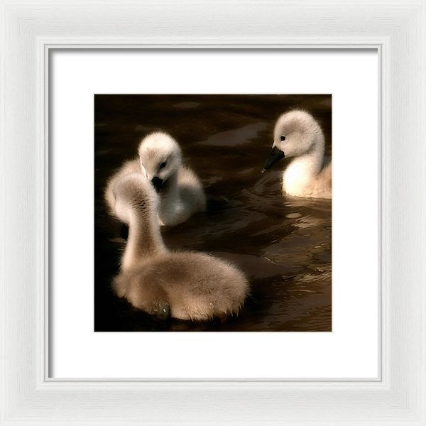 They Called You An Ugly What - Framed Print