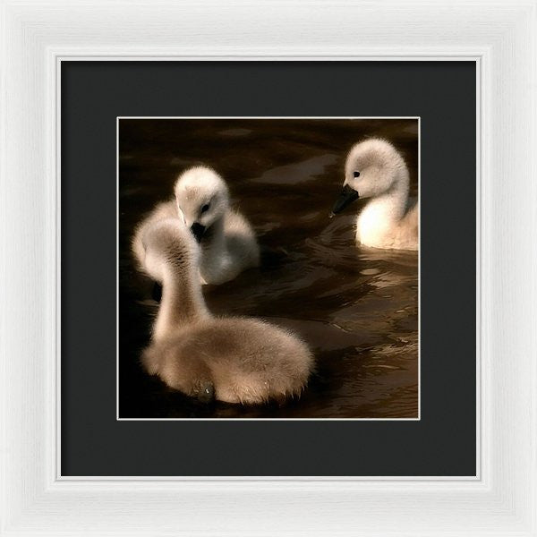 They Called You An Ugly What - Framed Print