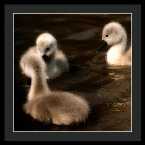 They Called You An Ugly What - Framed Print