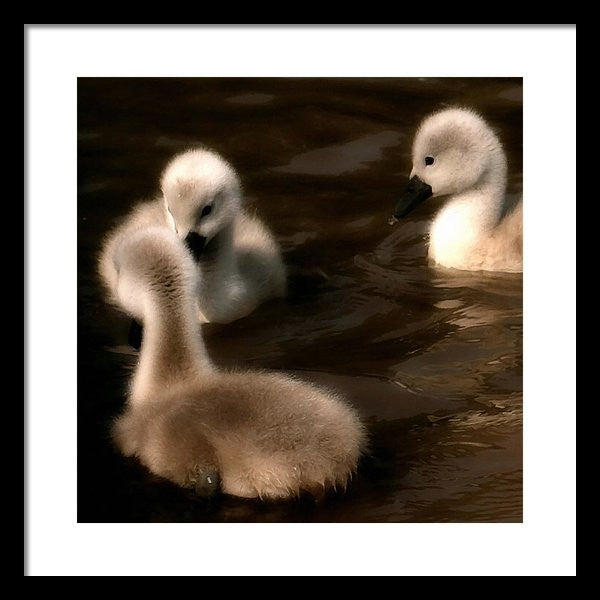 They Called You An Ugly What - Framed Print